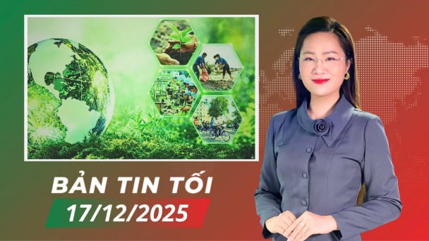 Quyết sách lớn kiến tạo tương lai xanh
