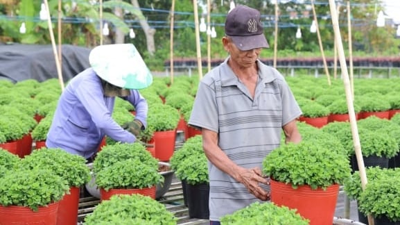 Đồng Tháp triển khai 55 mô hình khuyến nông giai đoạn 2026 - 2030