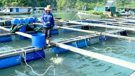 Thẩm quyền của địa phương trong lĩnh vực biển và hải đảo