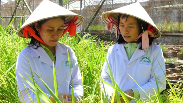 Khi nhà nghiên cứu được quyền 'thử sai'
