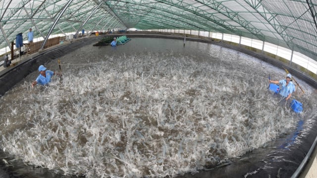 Thủy sản đặt mục tiêu tự chủ về công nghệ, nhất là công nghệ chiến lược