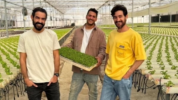 Israel dùng điện để 'cách mạng hóa' cây trồng