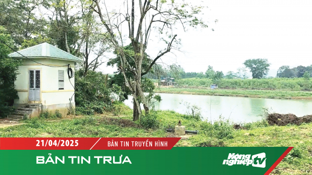 Dự án thủy lợi hàng trăm tỷ đồng chậm tiến độ 5 năm