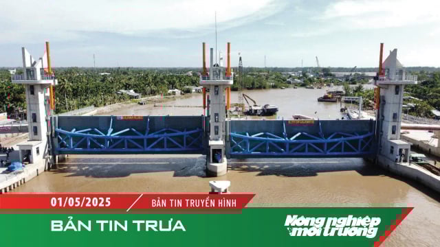Xâm nhập mặn ở ĐBSCL có xu thế giảm dần từ đầu tháng 5