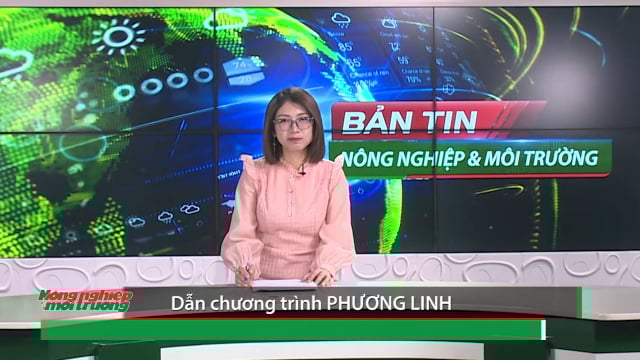 Bản tin truyền hình NN&MT số 22/2025 (số 409)
