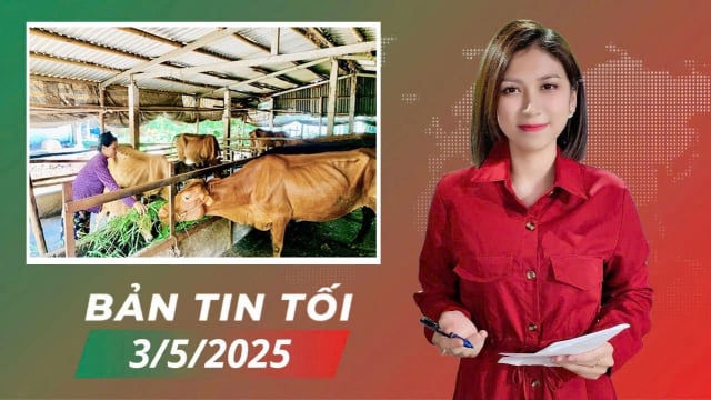 Đất dự án- những điều cần biết