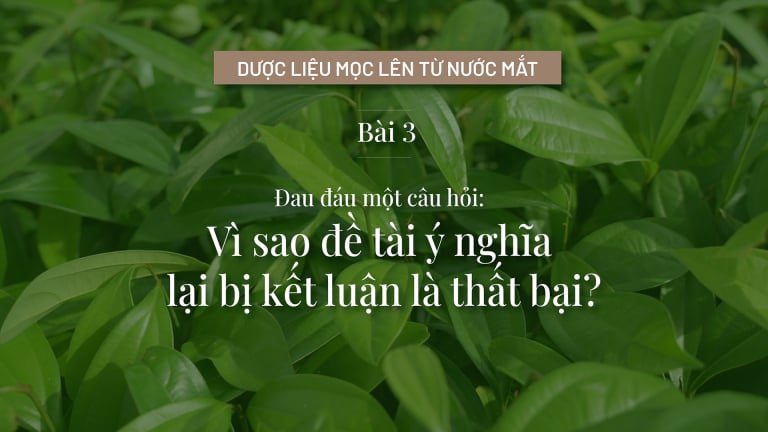 Vì sao đề tài ý nghĩa lại bị kết luận là thất bại?