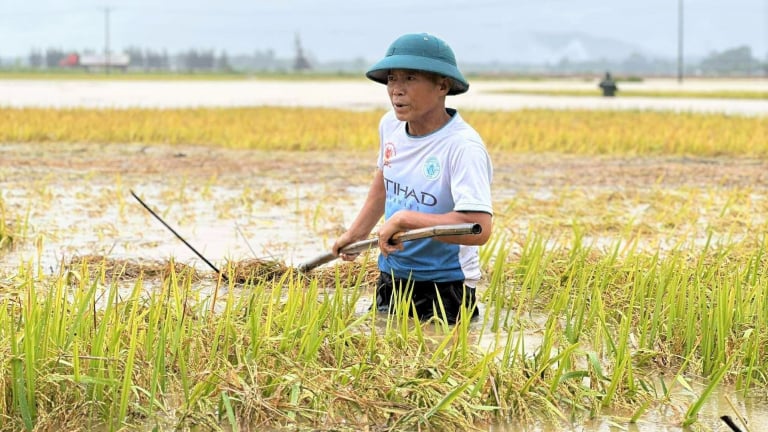 Hình ảnh lũ hiếm gặp cuối tháng 5 tại Hà Tĩnh