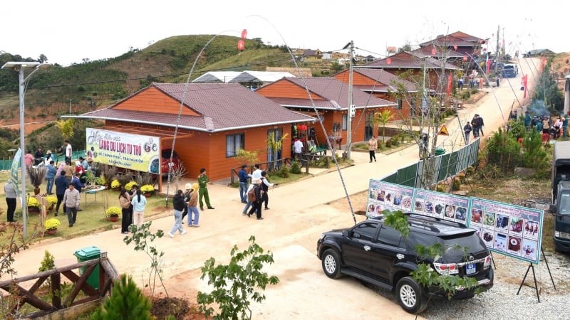 An cư giữa đại ngàn
