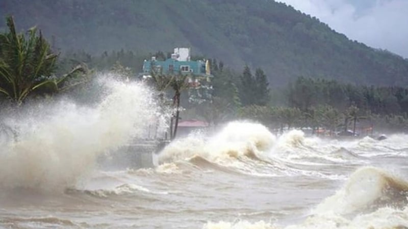Thời tiết nông vụ ngày 26/6/2025: Mưa lớn cả trên biển và đất liền