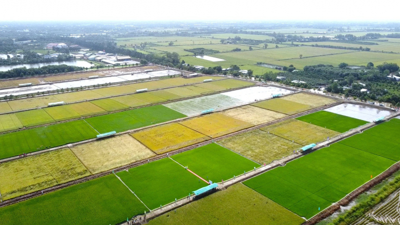 Không có thủy lợi hiện đại, không có 1 triệu ha lúa giảm phát thải