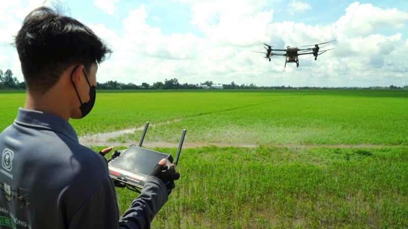 Lúa khỏe, người khỏe, chi phí giảm nhờ drone