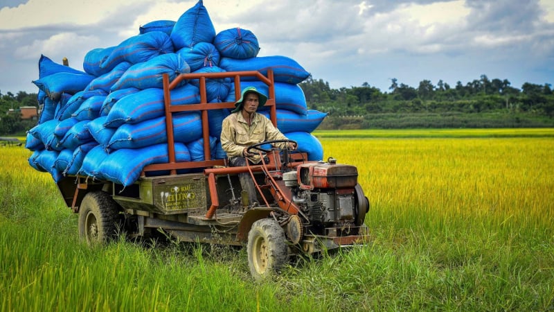 Krông Nô chuyển mình từ nông nghiệp truyền thống sang công nghệ cao