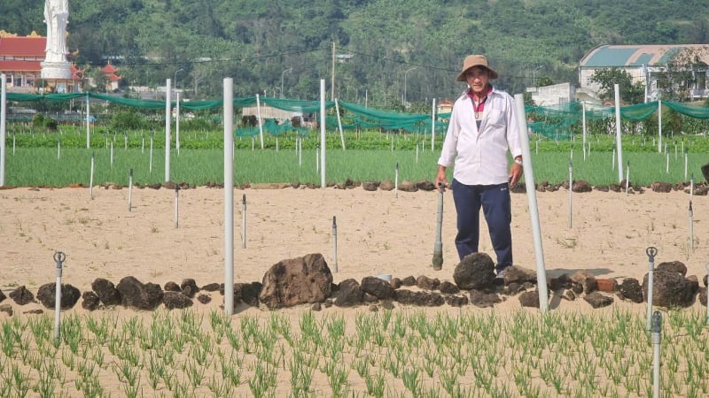 Người 'giải khát' cho cây trồng ở Lý Sơn