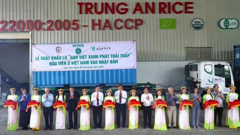 Lô gạo phát thải thấp đầu tiên ‘xuất ngoại’ có giá 820 USD/tấn