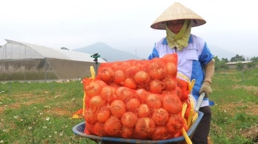 Hành trình ‘nuôi đất', giữ cỏ ở trang trại thấm nhuần triết lý thuận tự nhiên