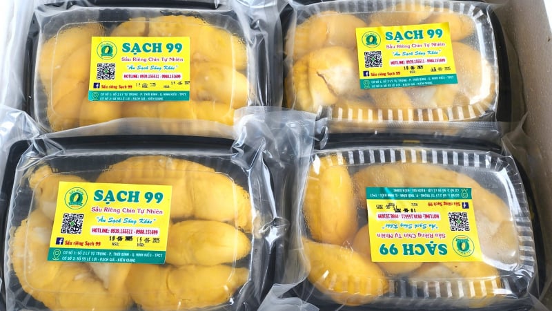 Cần Thơ đưa 2 tấn cơm sầu riêng lên máy bay ra Hải Phòng tiêu thụ