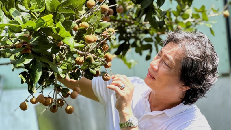 Thu nửa tỷ đồng mỗi năm từ thanh nhãn hữu cơ