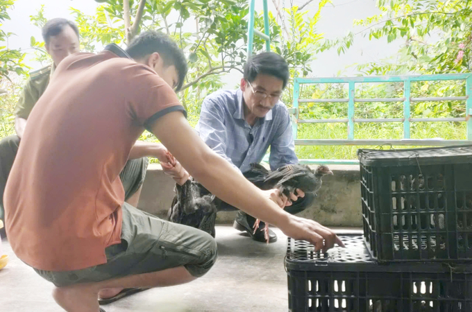 nongnghiepmoitruong.vn