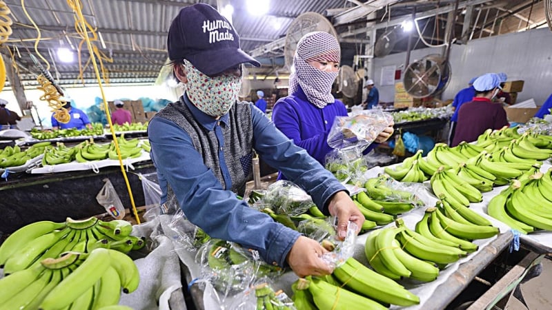 Nông sản giữ vai trụ cột xuất khẩu trong 4 tháng đầu năm