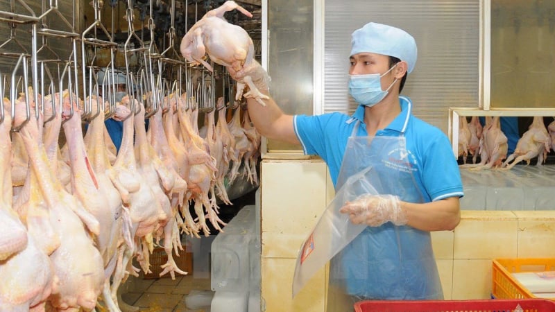 Indonesia siết kiểm dịch động vật, doanh nghiệp phải khai báo trước khi xuất khẩu