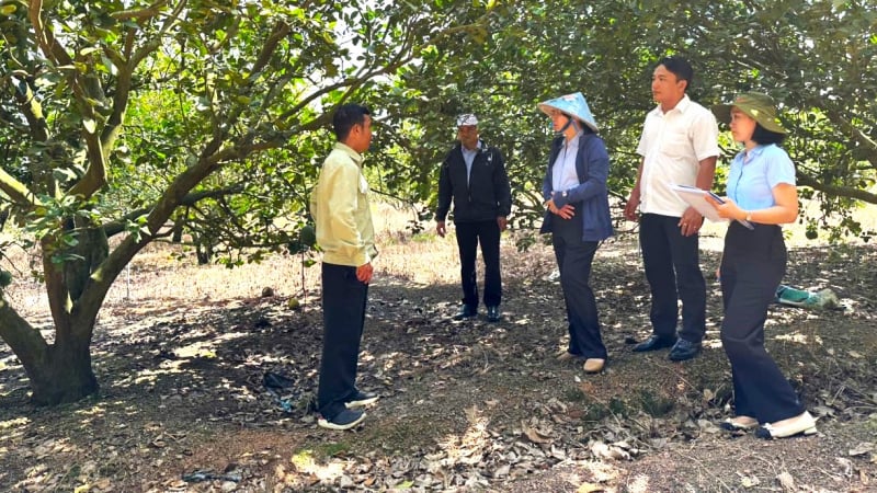 Giữ chất VietGAP sau chứng nhận