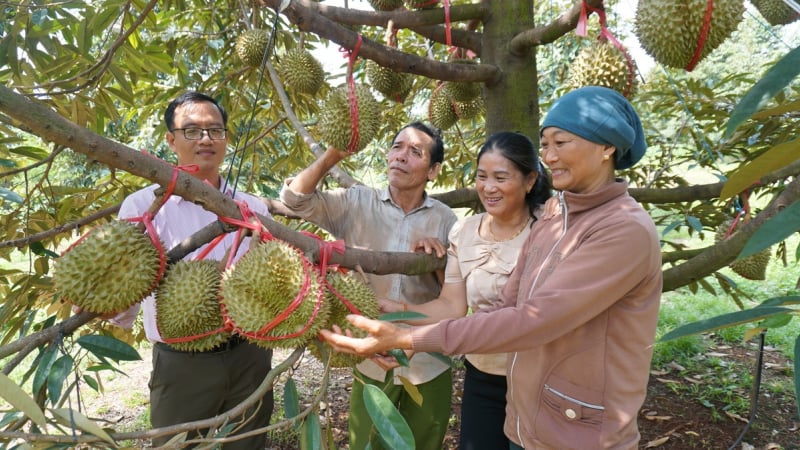 Tín dụng- 'chìa khóa’ giảm nghèo: [Bài 2] Tạo việc làm, ‘khơi thông’ nguồn lực