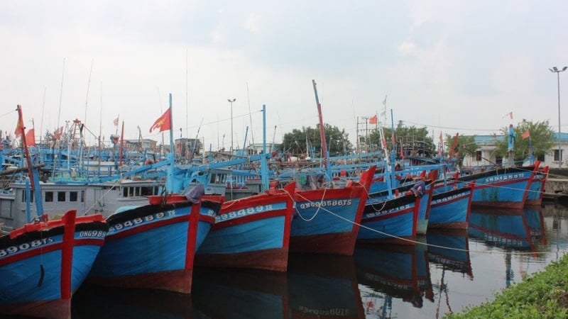 Quảng Ngãi: Kêu gọi tàu thuyền tìm nơi trú tránh bão số 1