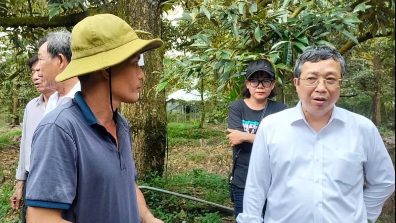 Tiền Giang chủ động kiểm soát chất lượng sầu riêng xuất khẩu