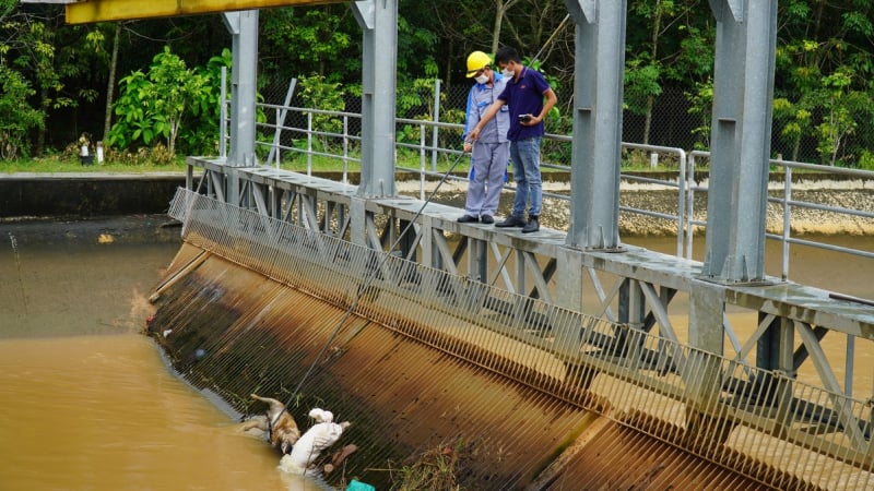Kênh thủy lợi bị 'bức tử': Nhà máy thủy điện thành 'nghĩa địa động vật'