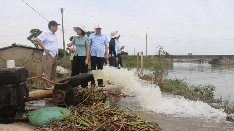 TP Huế được hỗ trợ 160 tấn lúa giống khắc phục mưa lũ trái mùa