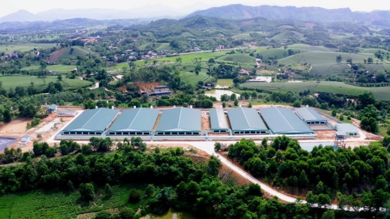 Cargill: 30 năm đồng hành cùng Việt Nam nuôi dưỡng thế giới