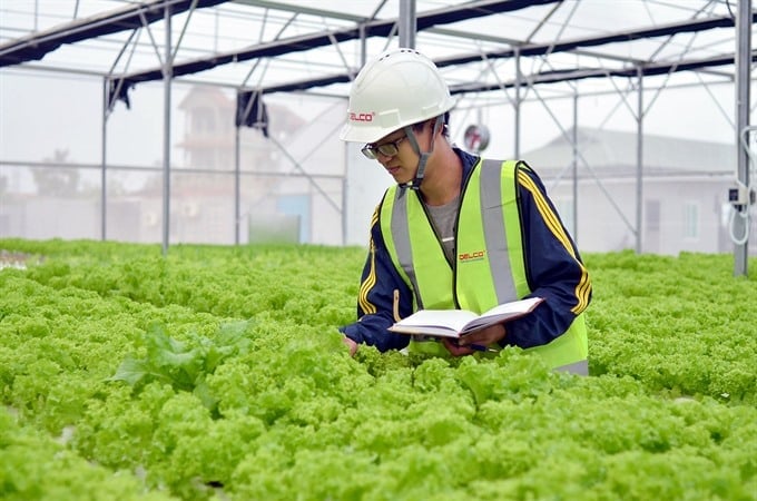 Doanh nghiệp nông nghiệp chỉ bị kiểm tra định kỳ không quá 1 lần mỗi năm
