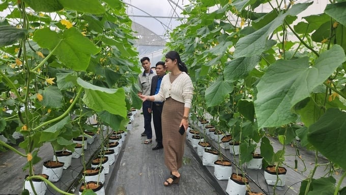 [Bài 4]: Gỡ điểm nghẽn thể chế, tiếp sức cho doanh nghiệp