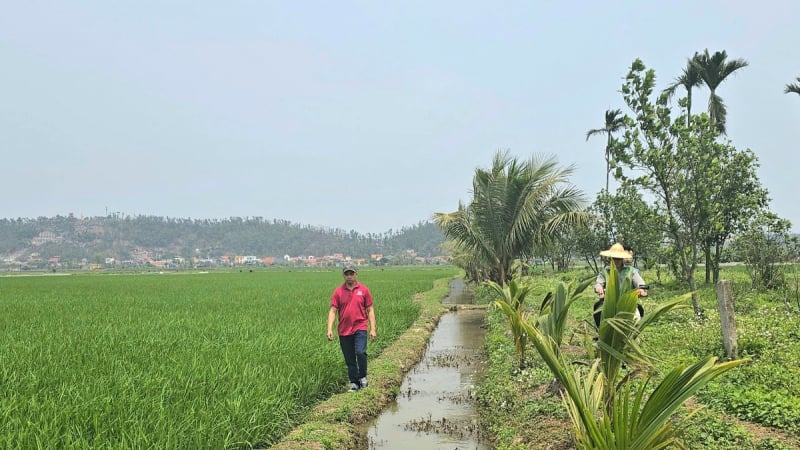 Hiện đại hóa hệ thống thủy lợi ở Hải Phòng: [Bài 2] Những tuyến mương kêu cứu