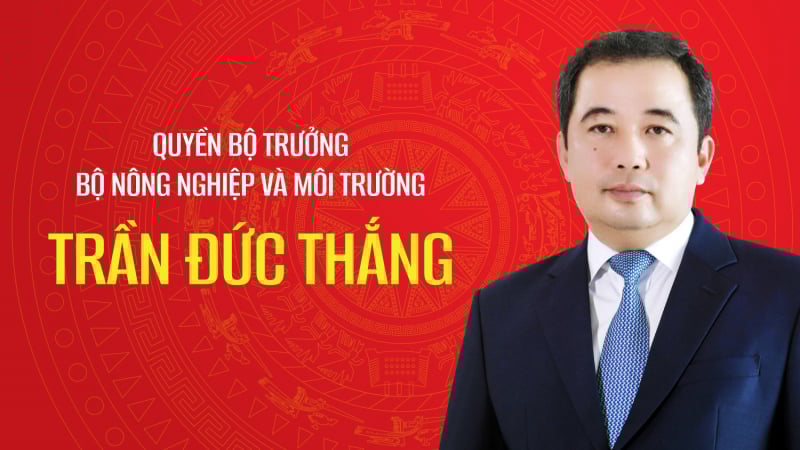 Tiểu sử quyền Bộ trưởng Bộ Nông nghiệp và Môi trường Trần Đức Thắng
