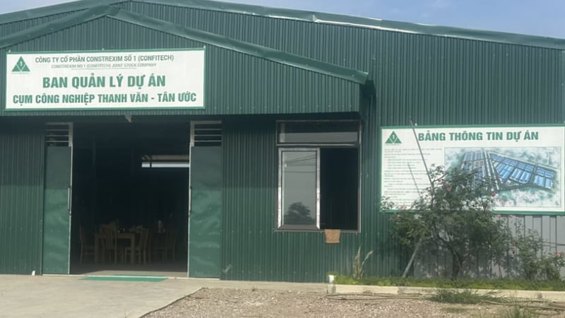 Từ Tân Ước đến Ninh Sở: Một kịch bản, nhiều người sập bẫy