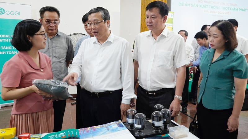 Định vị than sinh học trong chiến lược giảm phát thải ngành trồng trọt