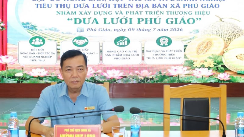 Phú Giáo xây dựng thương hiệu dưa lưới, mở rộng liên kết tiêu thụ nông sản