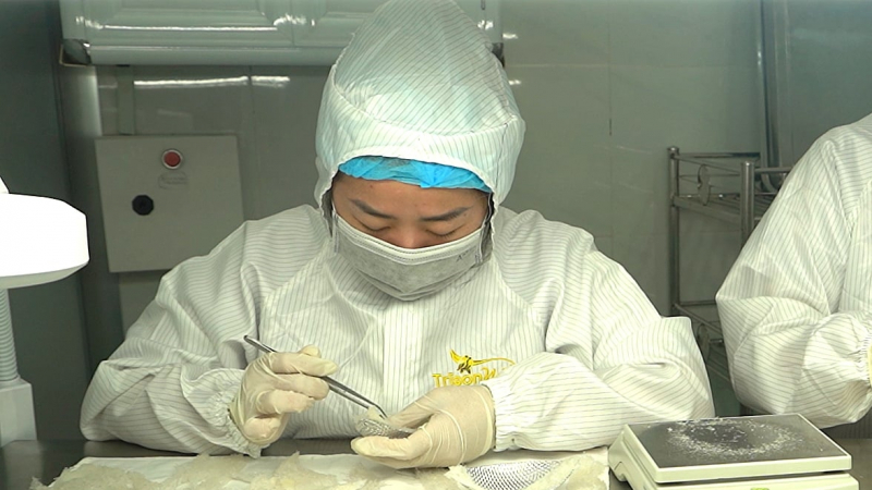 Kiến nghị thành lập Hiệp hội Yến sào Tiền Giang