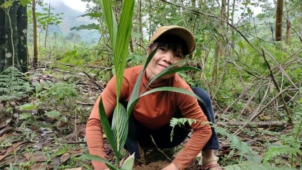 An cư giữa đại ngàn: [Bài 2] Điểm tựa từ chính sách đất đai