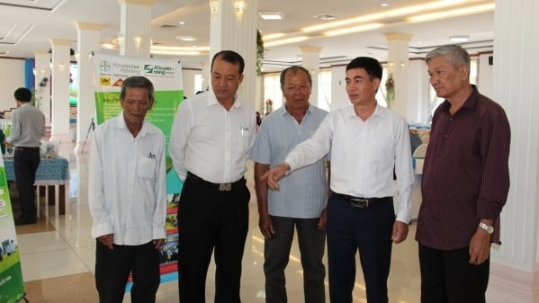 Tổ khuyến nông cộng đồng 'gần dân, sát ruộng, am hiểu thực tiễn'