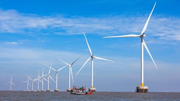 Việt Nam sở hữu 'kho' điện gió ngoài khơi lên tới 1068 GW