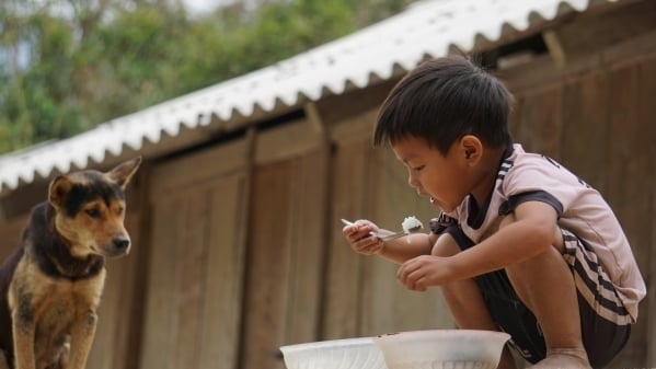 Chuyện ghi ở phía sau lưng núi [Bài 4]: Ảo mộng xứ người