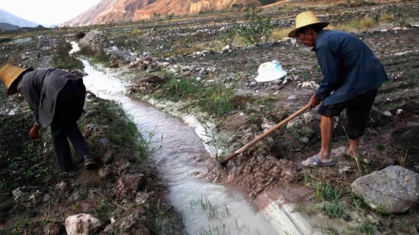 15% diện tích đất canh tác thế giới bị ô nhiễm kim loại nặng