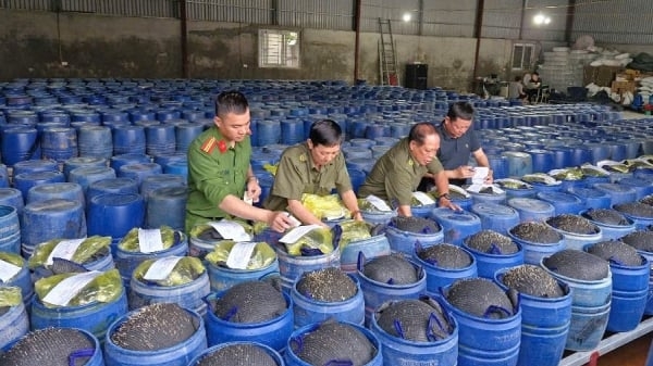 Nghệ An phá đường dây sản xuất 3.500 tấn giá đỗ ngâm hóa chất