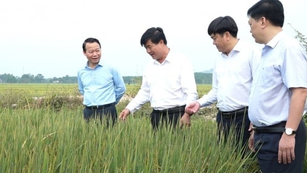 Sức sống mới ở vùng tái định cư hồ Krông Pách Thượng