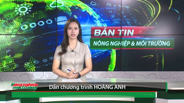 Bản tin truyền hình Nông nghiệp và Môi trường số 16/2025 (số 403)
