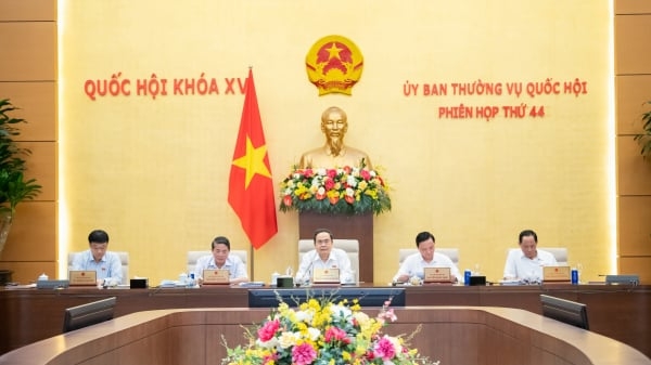 Đề xuất chỉ định, bổ nhiệm chủ tịch, phó chủ tịch sau khi sáp nhập