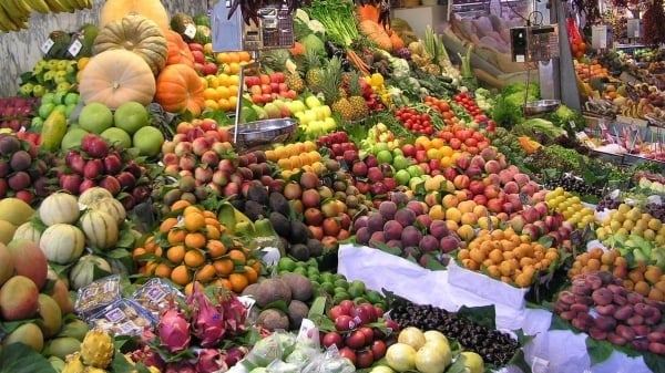 WTO cảnh báo thách thức thương mại nông sản toàn cầu